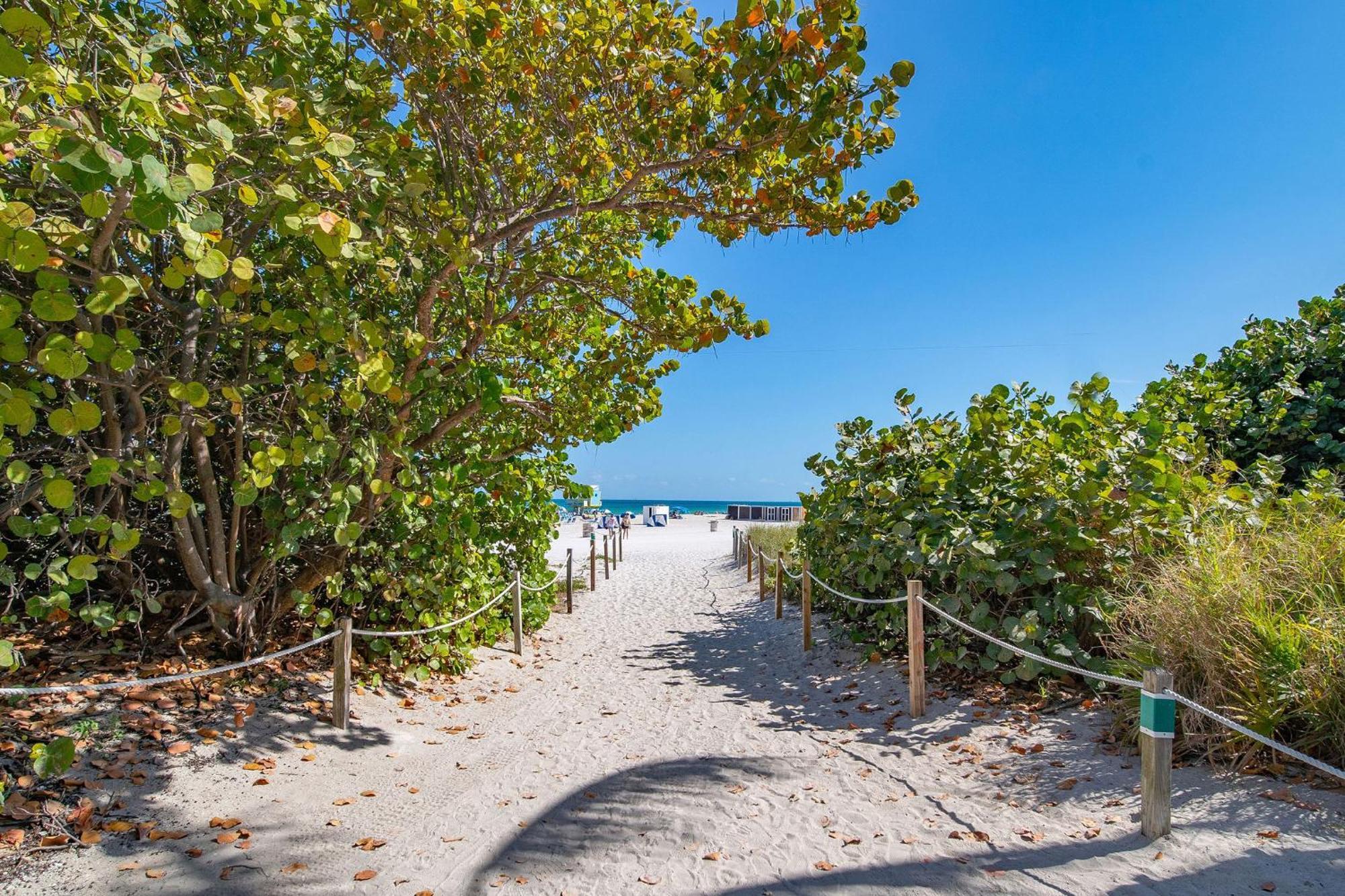 Charming Large Studio Near Ocean Dr - South Beach Miami Beach Ngoại thất bức ảnh