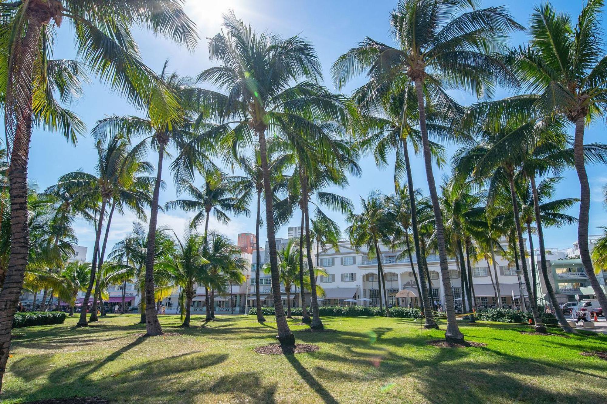 Charming Large Studio Near Ocean Dr - South Beach Miami Beach Ngoại thất bức ảnh